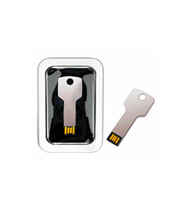 MEMORIA USB MODELO LLAVE C/ ESTUCHE DE METAL 4GB